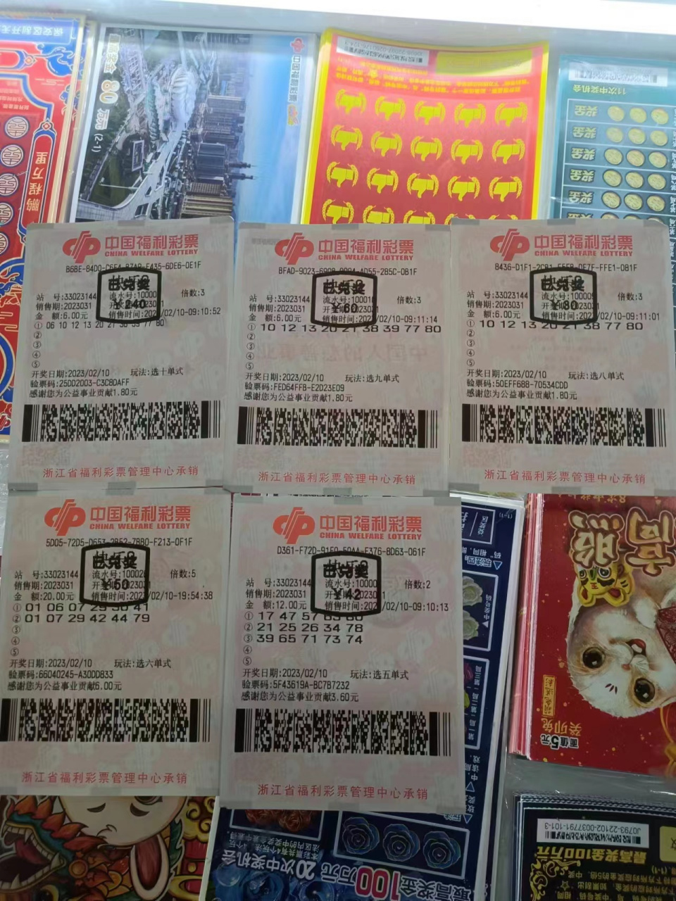 快乐8开奖结果,数据整合方案实施_投资版121,127.13