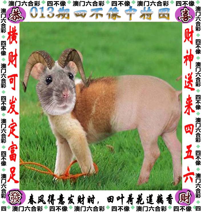 澳码精准100%一肖一马最准肖,最新答案动态解析_vip2121,127.13