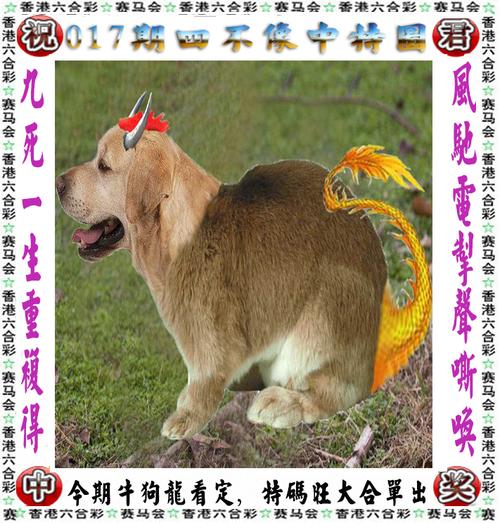 香港精准三肖三码免费,效能解答解释落实_游戏版121,127.12