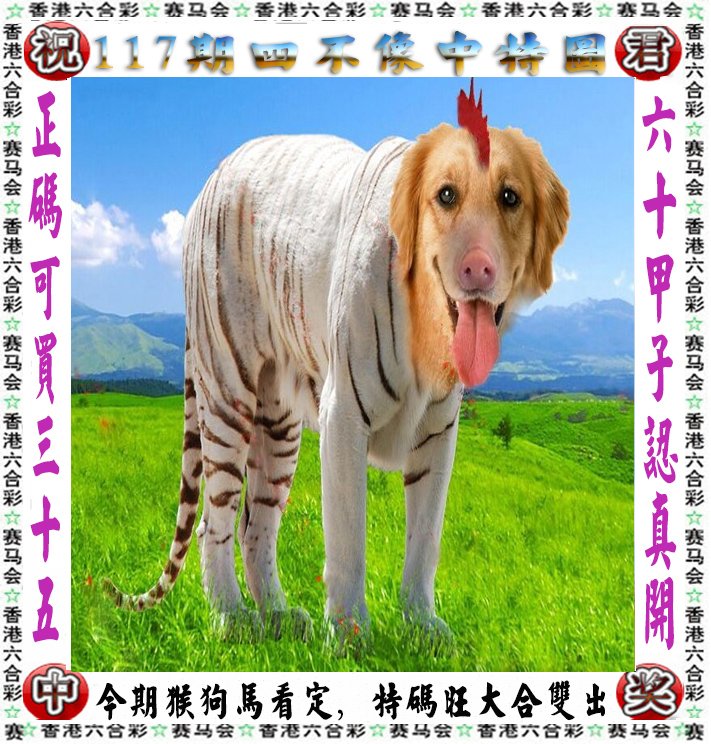 澳门全年开奖记录1一365斯,数据解释落实_整合版121,127.13