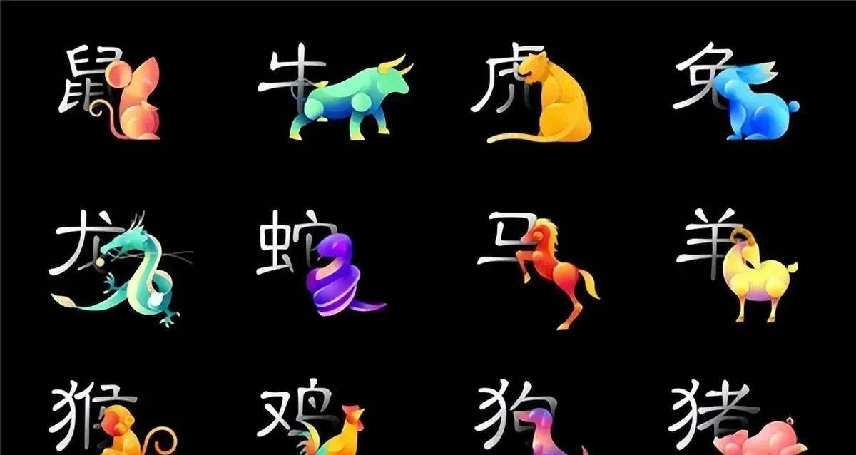 十二生肖博彩官网,数据解释落实_整合版121,127.13