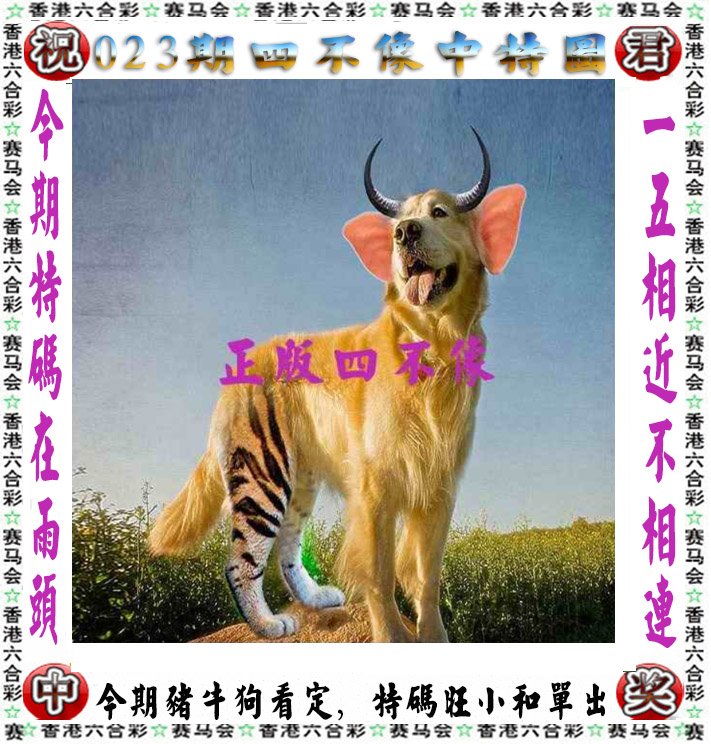 澳门开奖结果+开奖记录2021www,准确答案解释落实_3DM4121,127.13