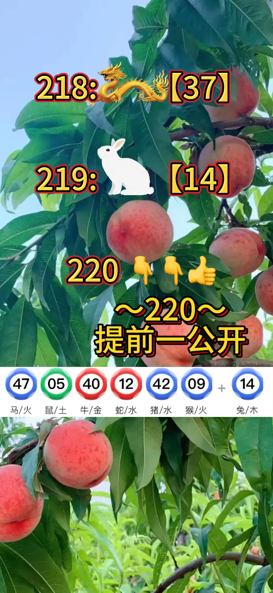 2024新澳门的资料大全,数据整合方案实施_投资版121,127.13