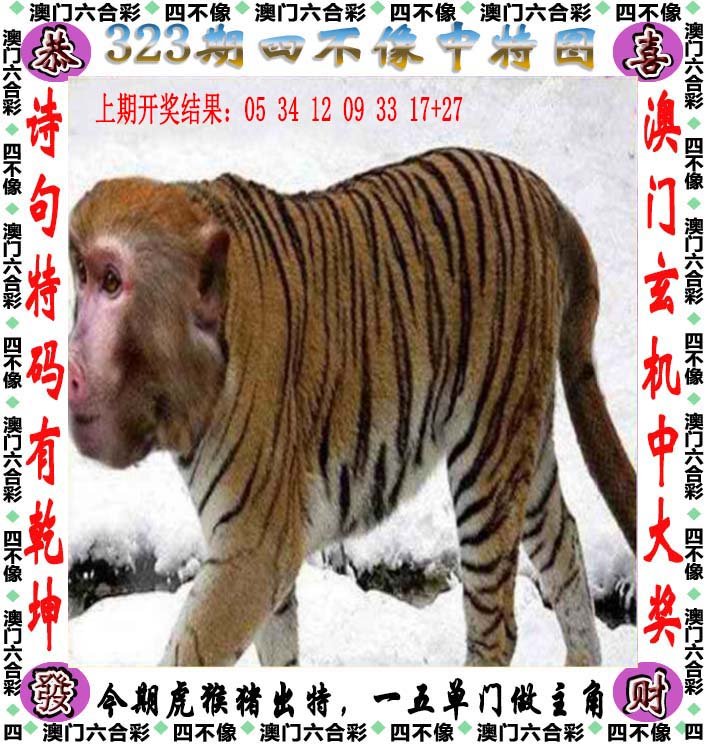 澳门一码一肖一待一中四不像,最新热门解析实施_精英版121,127.13