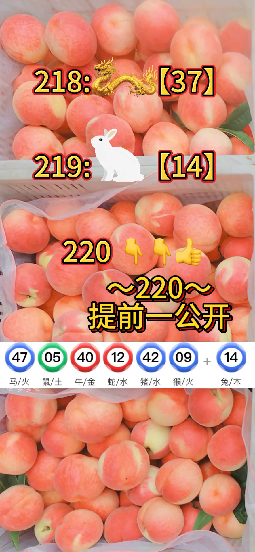 123澳门手机正版资料大全,最新热门解析实施_精英版121,127.13
