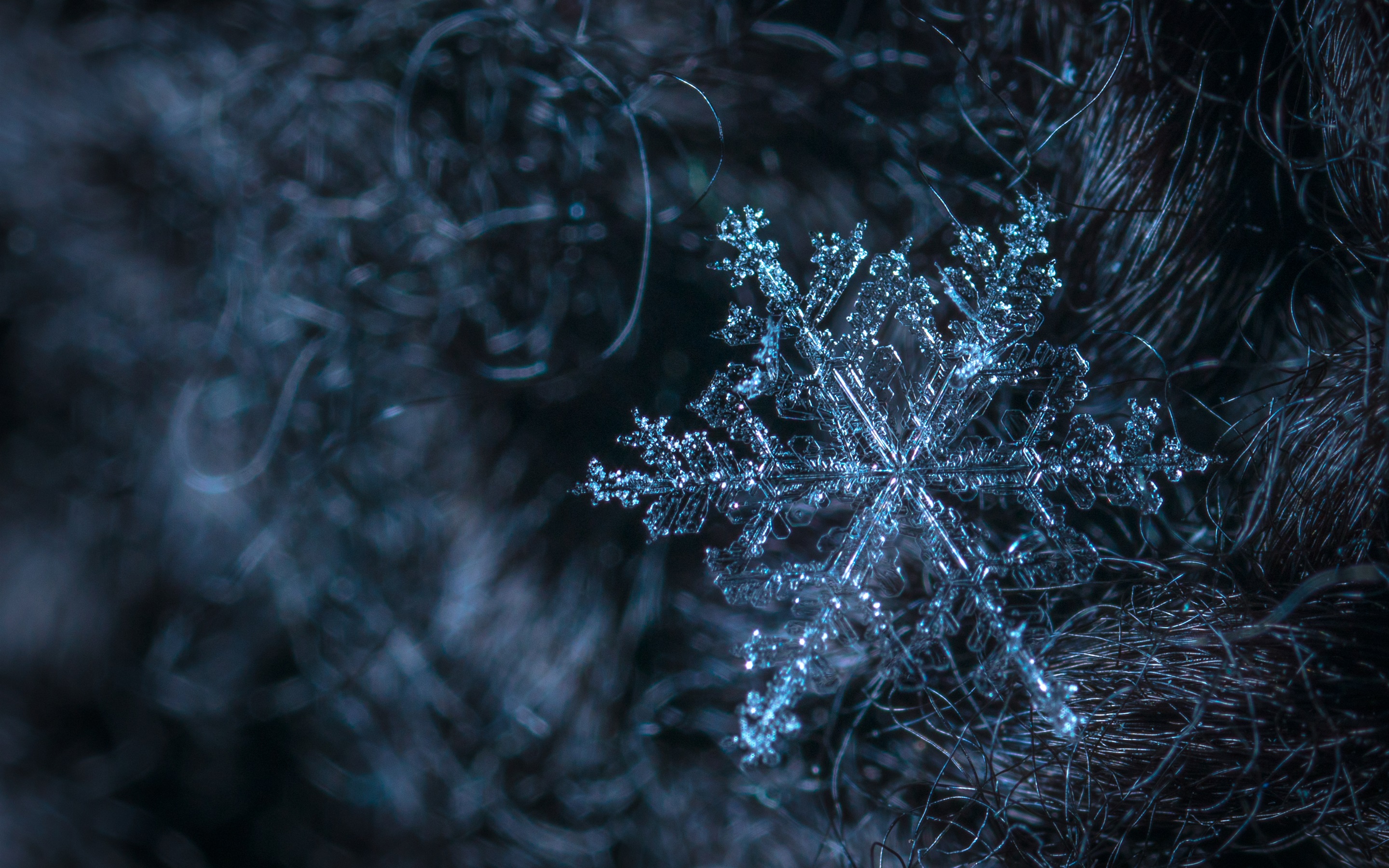 雪花在线观看免费高清,资深解答解释落实_特别款72.21127.13.